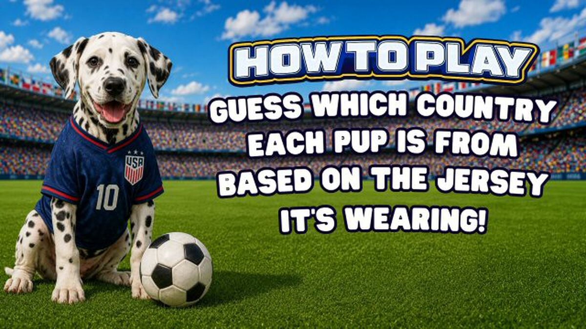 World Pup image number null